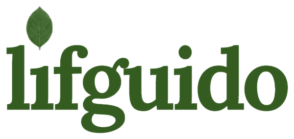 Lifguido, vos guides pour bien vieillir