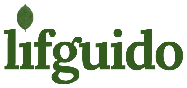 Lifguido, vos guides pour bien vieillir