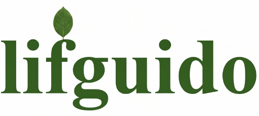 Lifguido
